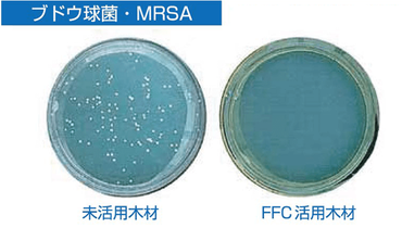 ブドウ球菌・MRSA